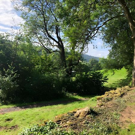 The Spring Slad Valley Cotswolds Painswick Exteriör bild