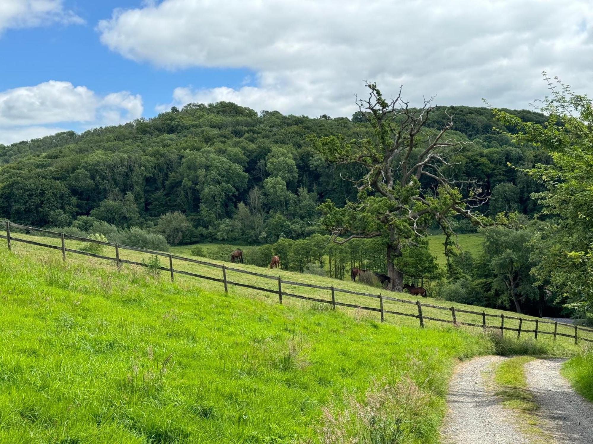 The Spring Slad Valley Cotswolds Painswick Exteriör bild